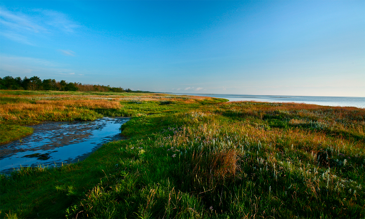 Djursland_2
