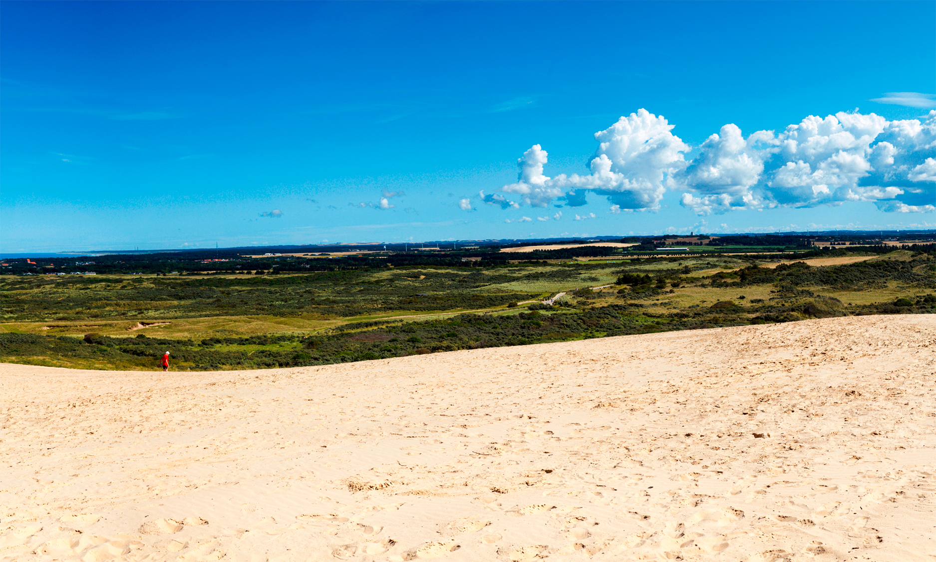 Landscape in Jutland
